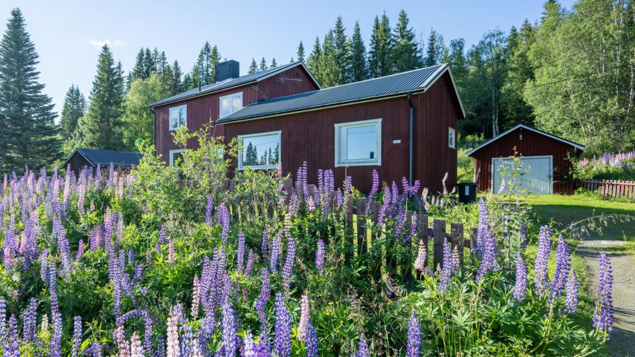 The Bear'S Den Villa Håkafot Buitenkant foto